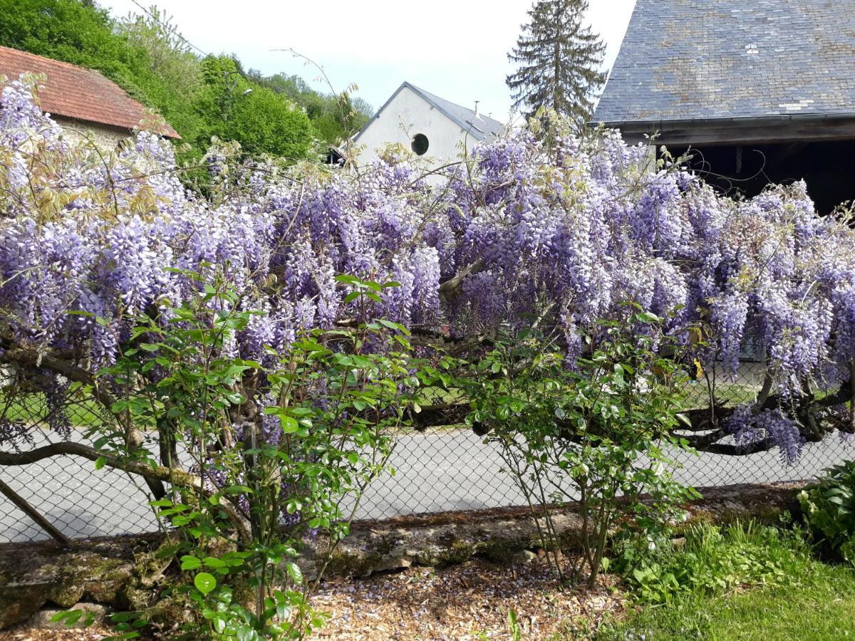 Village De Vie Saint-Vaury Eksteriør bilde